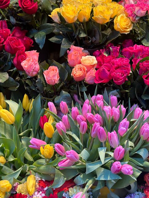 A vibrant floral display featuring a variety of fresh flowers including pink and yellow tulips with smooth, elongated petals and green stems, along with clusters of pink, orange, and yellow roses with